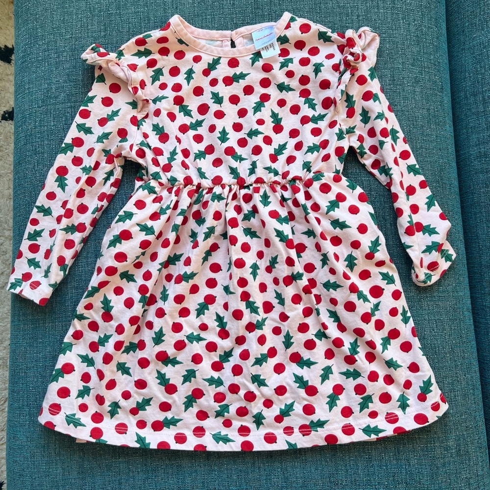 Hanna Andersson Holly  Toddler 4T Skater Dress
